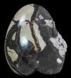 Bargain, Septarian Dragon Egg Geode - Black Crystals #64826-1